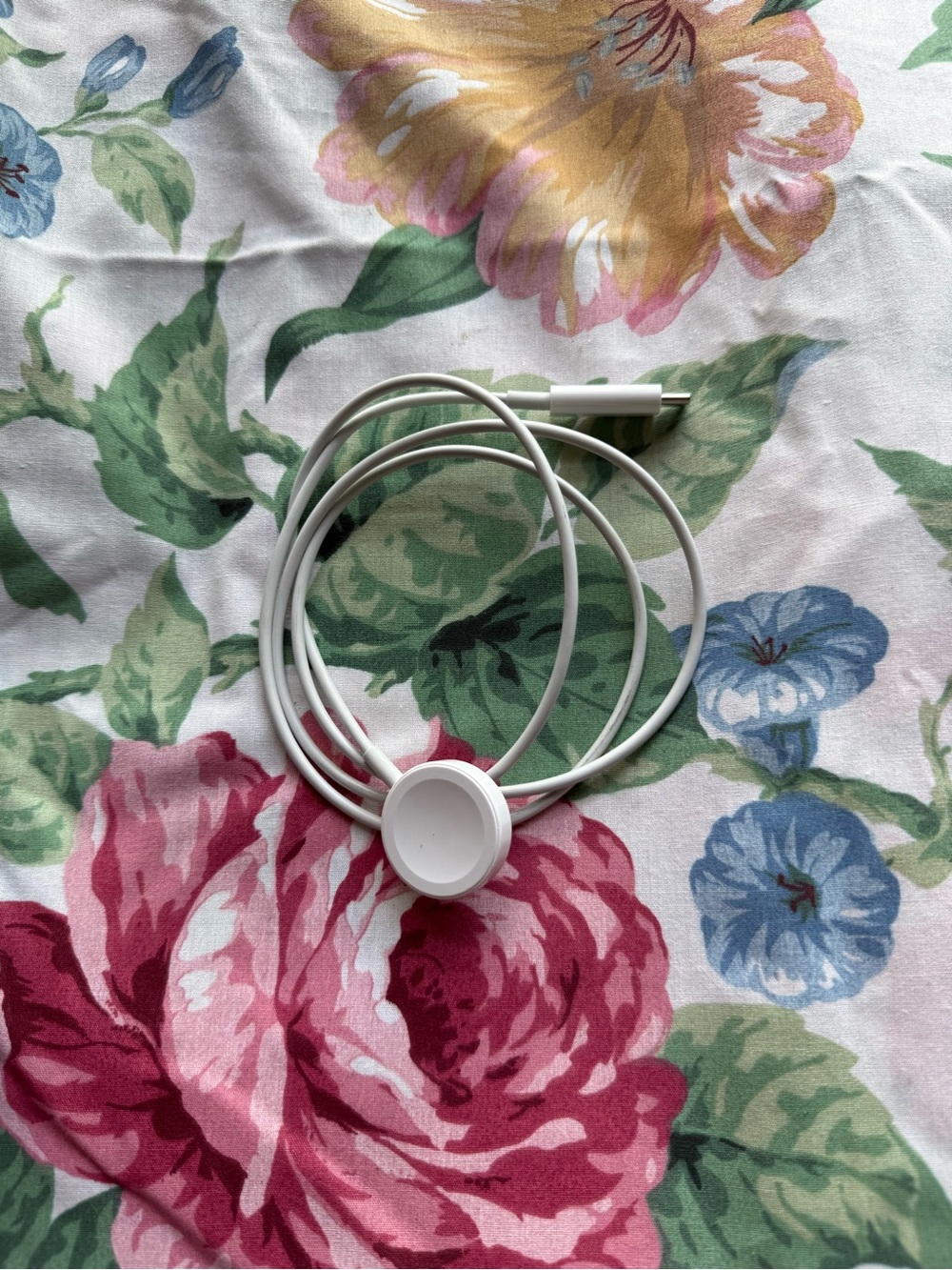 Apple White USB-C Magnetic Watch Charger